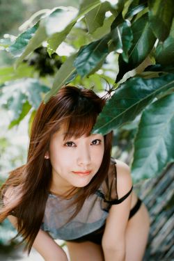 我和黑帮大佬的365天第三集结局